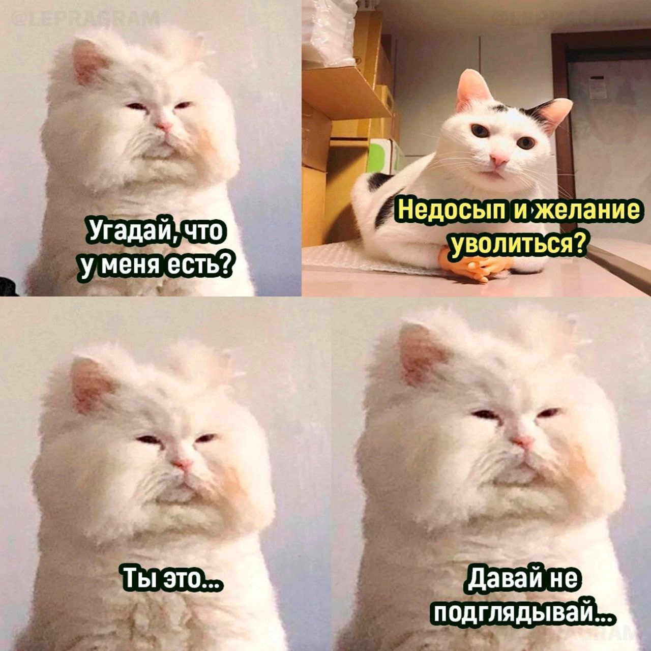 Сегодня пятница, а это значит пора обмениваться мемами! На прошлой неделе был самый популярный мем от Екатерины и Марии они👆
Спасибо за активность!)
Публикуй мемы в комментариях и голосуй за другие лю... | Сетка — новая социальная сеть от hh.ru