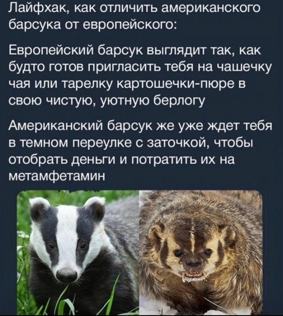 Сетка — новая социальная сеть от hh.ru