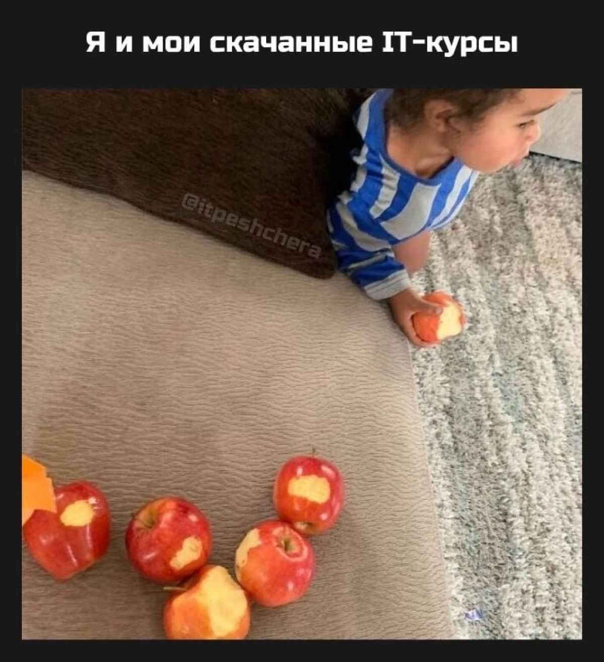 Сетка — новая социальная сеть от hh.ru