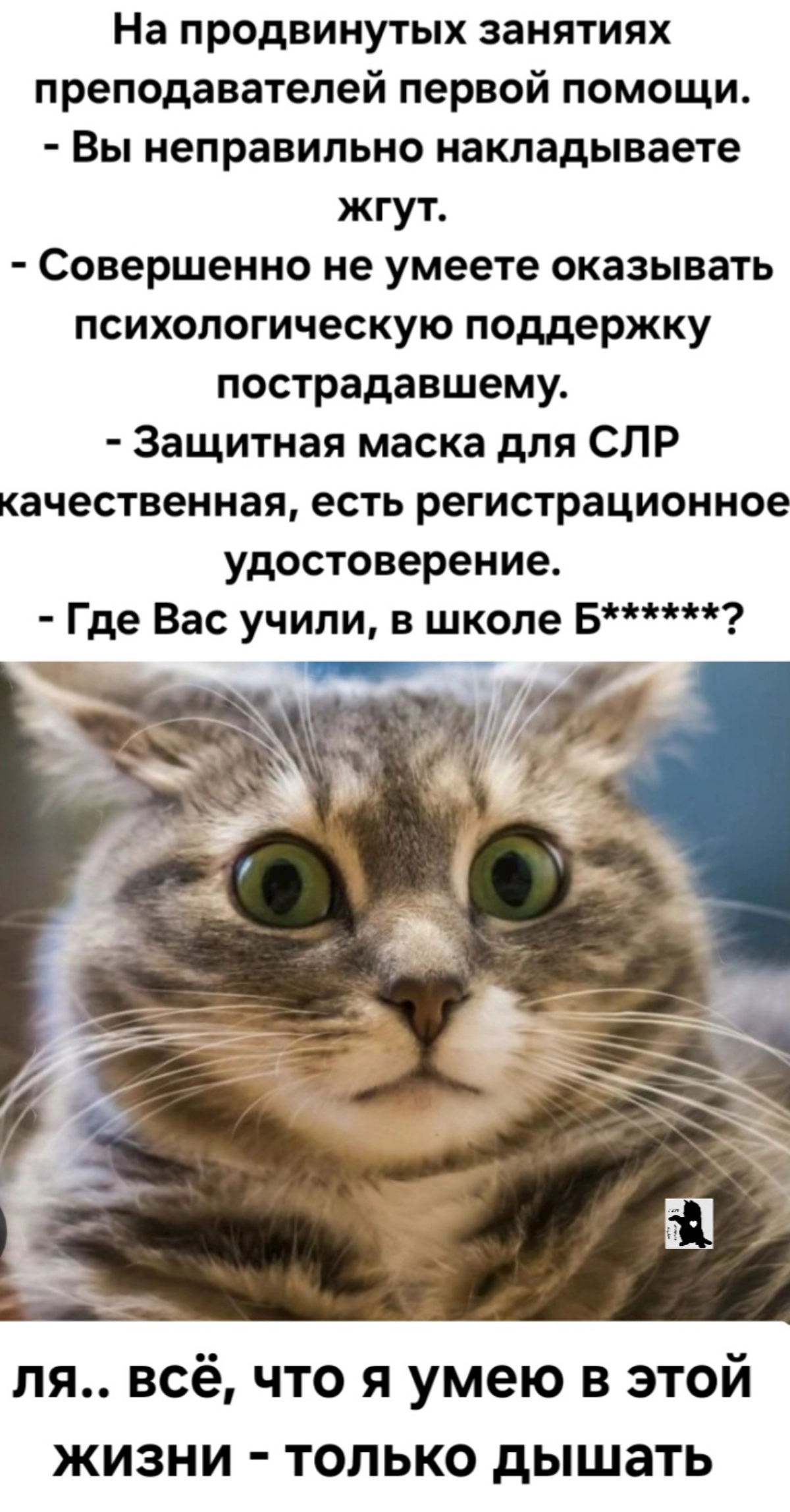 Сетка — социальная сеть от hh.ru
