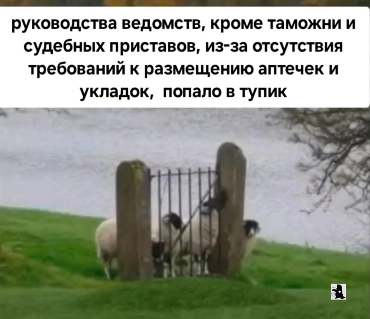 Сетка — новая социальная сеть от hh.ru