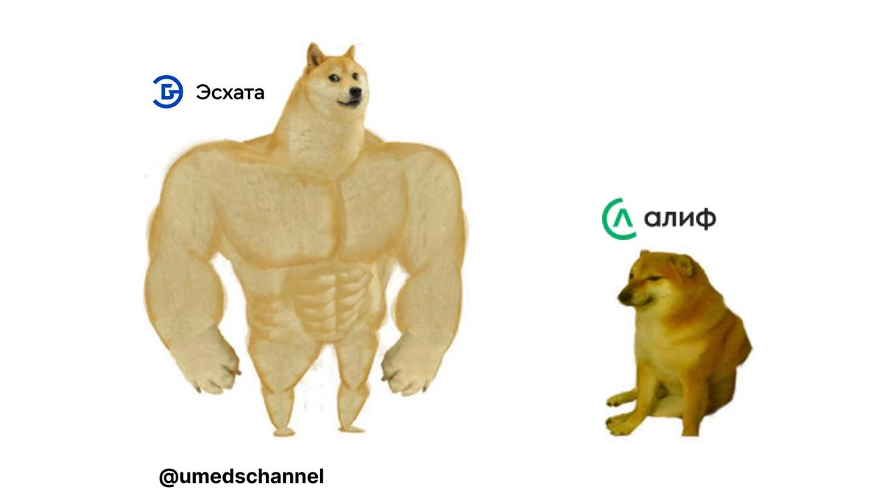 Когда зуммеры не узнали Эсхату.
P.S. Мем "Качок Доге и Чимс" используется для сравнения. Сравнение на базе активов на момент 01.01.24: Эсхата — 5,6 млн сомони, Алиф — 1,3 млн сомони | Сетка — новая социальная сеть от hh.ru