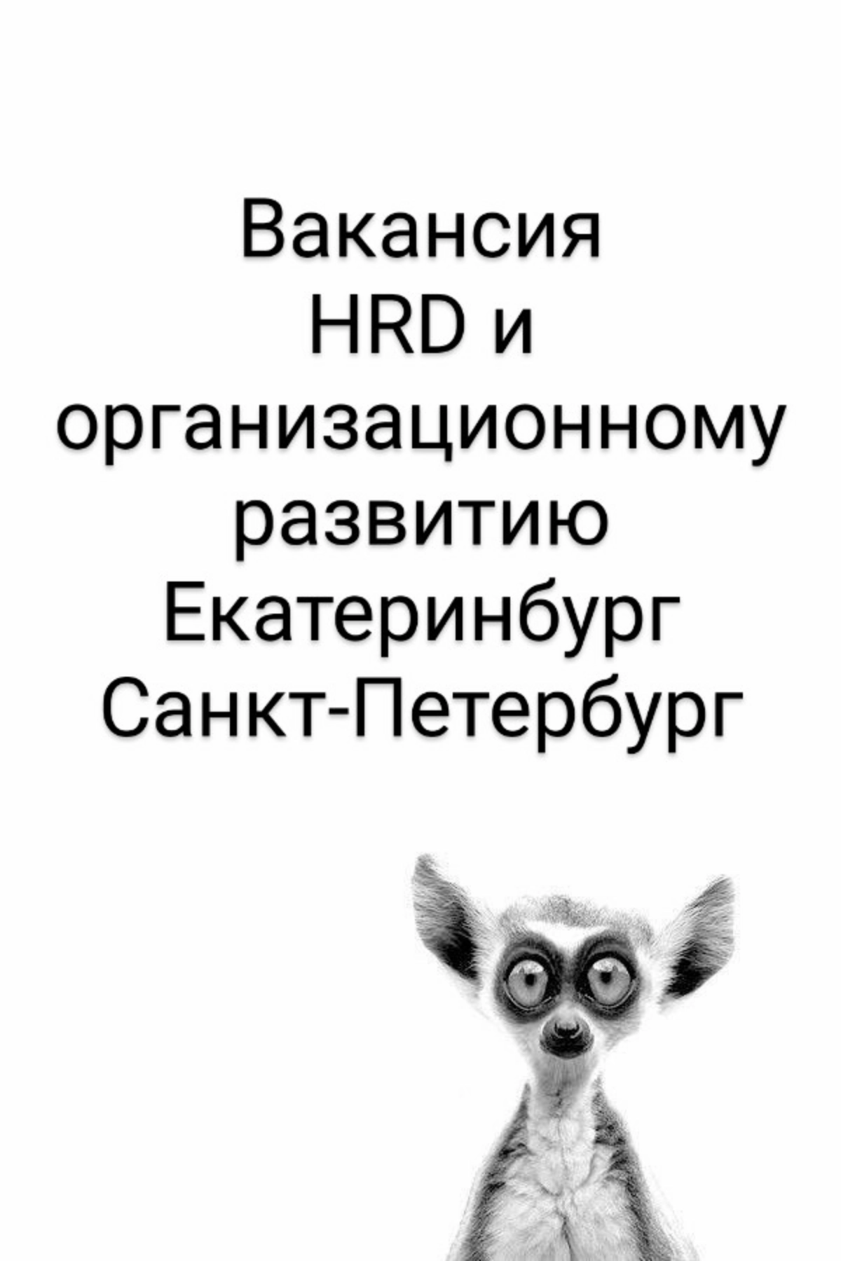 Коллеги есть 2 вакансии 
✅Вакансия: Директор по персоналу и организационному развитию 
Екатеринбург и Санкт-Петербург 
1️⃣Задачи:
- управление департаментом персонала (сотрудники в УК + сотрудники фил... | Сетка — новая социальная сеть от hh.ru