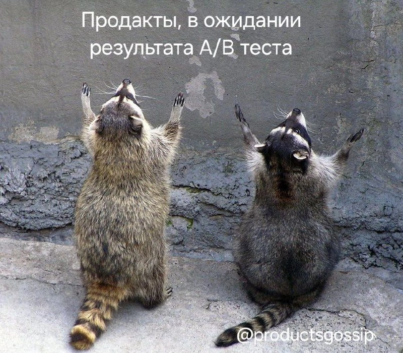 В Питере четверг как #пятница
Yep, я снова в командировке в офисе Вконтакте
Таня, [ex-B2B 👩‍💻] 
@productsgossip | Сетка — новая социальная сеть от hh.ru