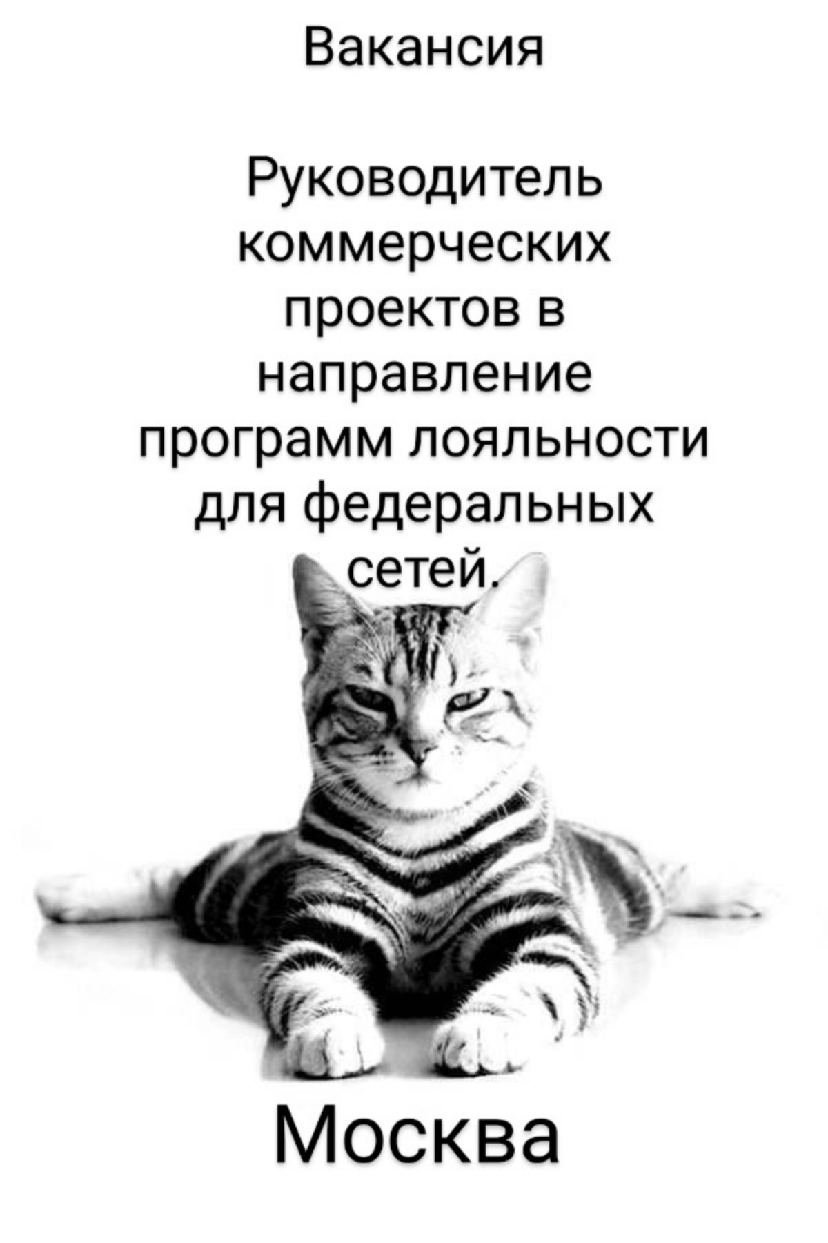Руководитель коммерческих проектов в направление программ лояльности для федеральных сетей. 
Москва, мм Савеловская/Дмитровская, 100% офисная работа. 
Все официальное и белое | Сетка — новая социальная сеть от hh.ru