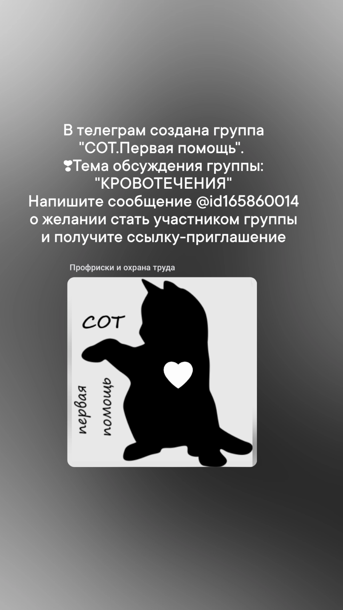 Сетка — социальная сеть от hh.ru