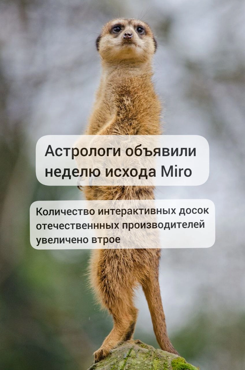 Или вдесятеро?
С начала сентября вижу рекламу новых интерактивных досок, и главное, что вендоры еще даже не начали повторяться | Сетка — новая социальная сеть от hh.ru