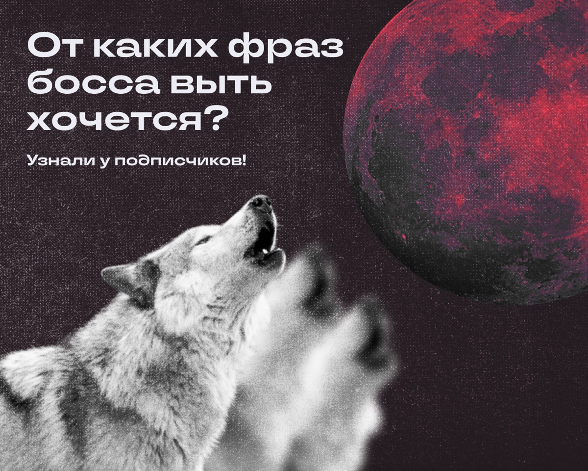Хочется орать, когда слышишь от начальника ЭТО
Недавно мы спрашивали, какая фраза шефа заставит вас протяжно и устало так вздохнуть | Сетка — новая социальная сеть от hh.ru