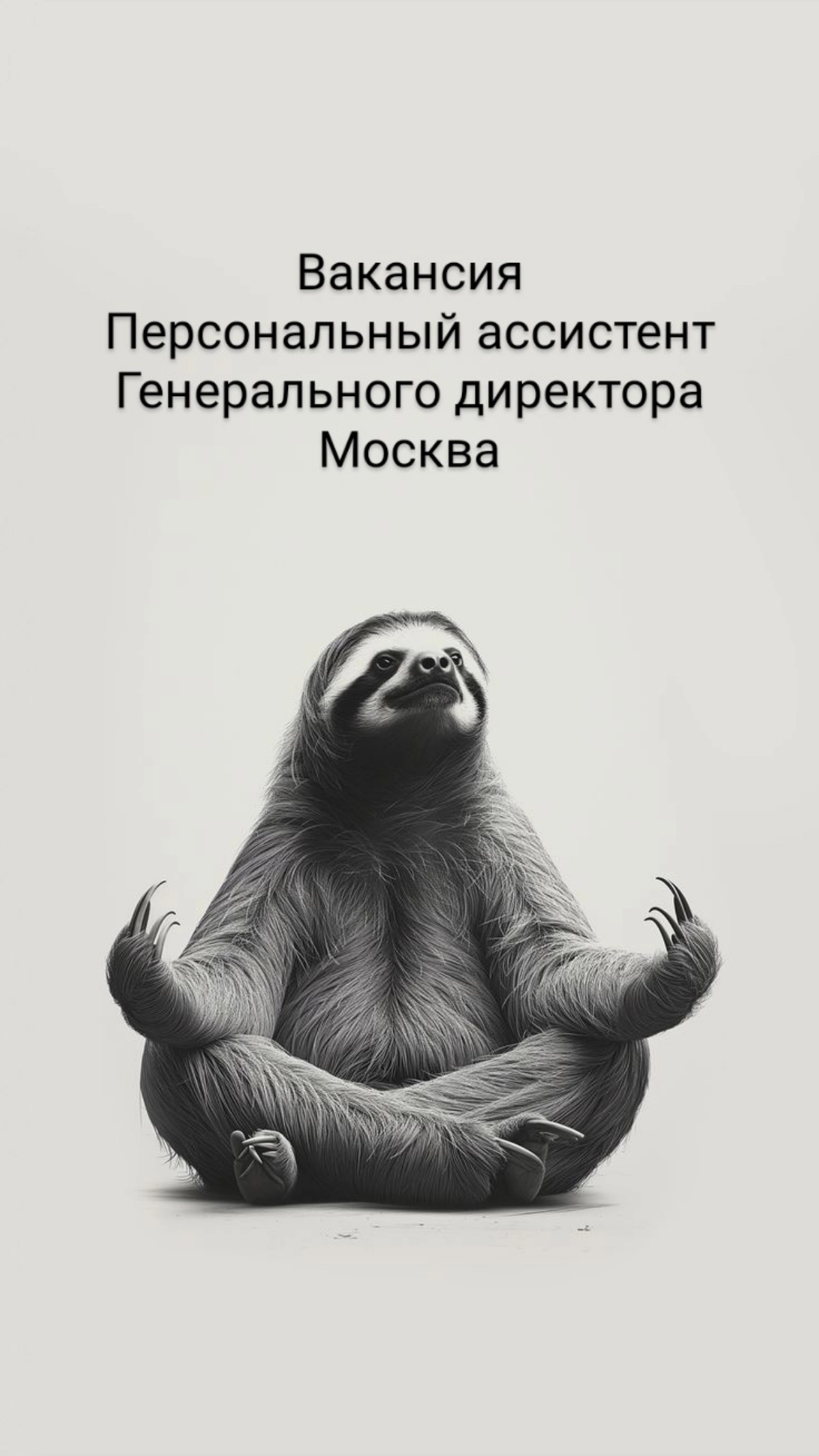 Персональный ассистент Генерального директора в крупное дизайнерское бюро
Компания реализует большой объем проектов для Минпромома, Правительства Москвы, крупных промышленных предприятий, проекты изве... | Сетка — новая социальная сеть от hh.ru