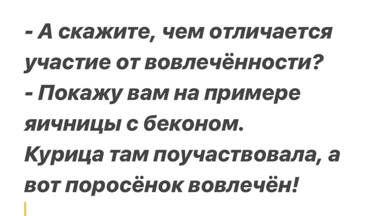 Сетка — новая социальная сеть от hh.ru