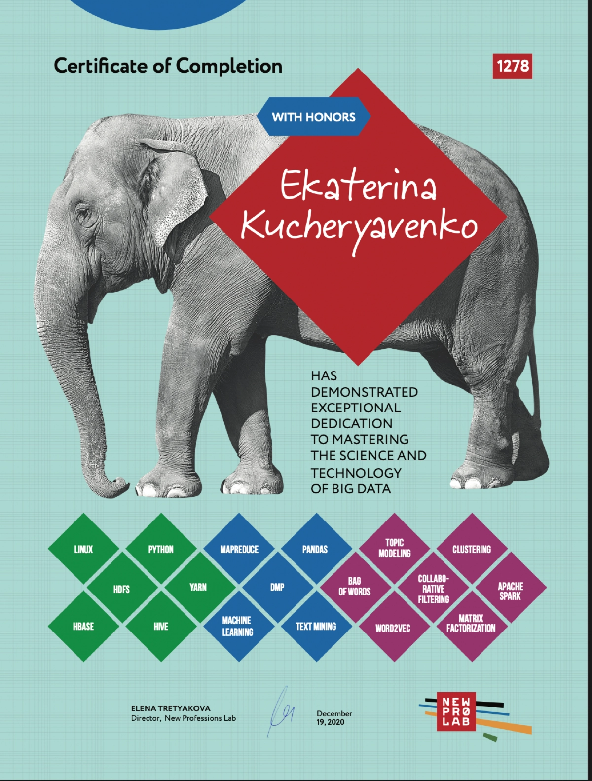 Кучерявенко Екатерина | Сетка — социальная сеть от hh.ru