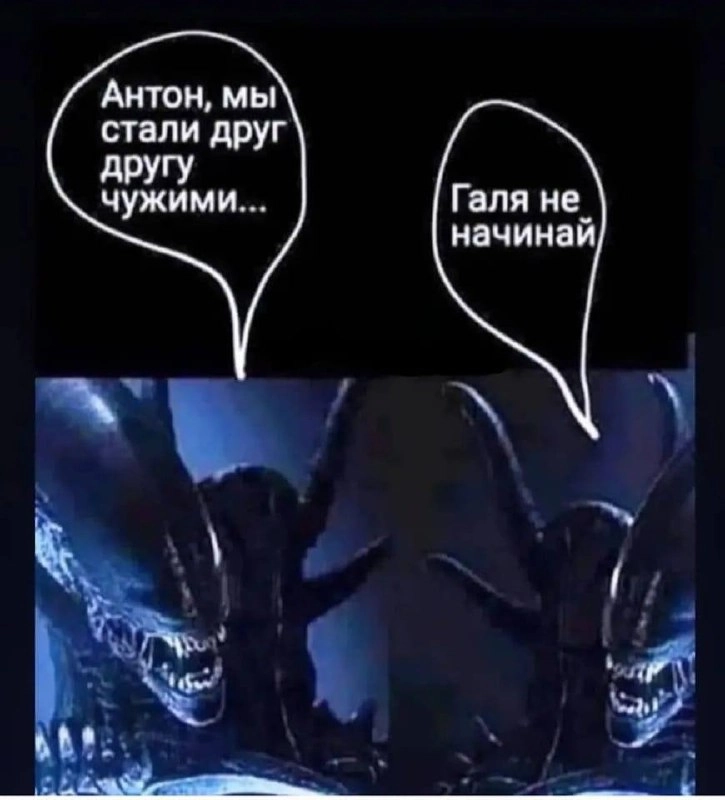 Сетка — новая социальная сеть от hh.ru
