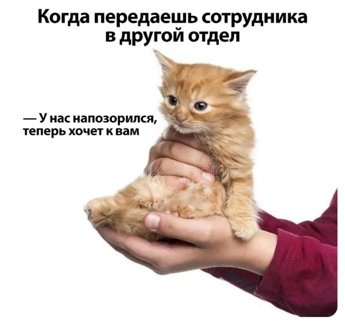 Сетка — новая социальная сеть от hh.ru