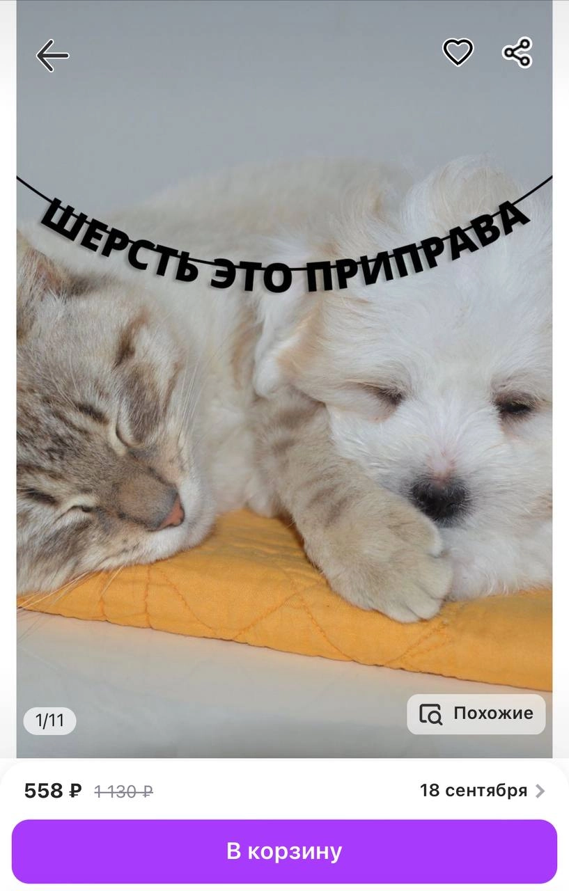 «Шерсть — это приправа». На Wildberries нашли гирлянду для хозяев пушистых питомцев. Стоит такая всего около 560 рублей.
Вы знаете, кому это подарить.
🍕зумеры в телеграм | Сетка — новая социальная сеть от hh.ru