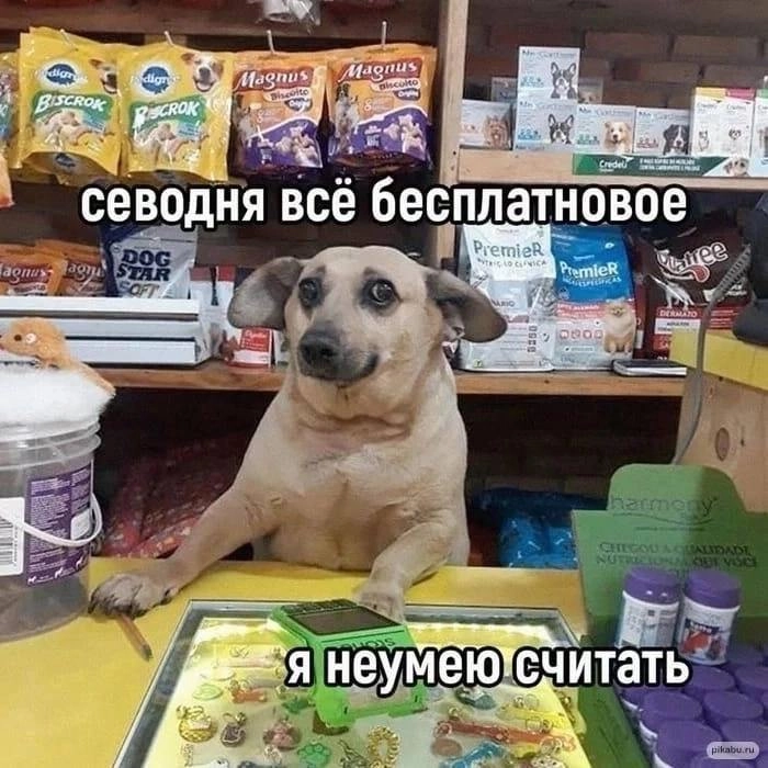 А это мой наш #mood сегодня 
не могу я без публикации мема после каждого поста* | Сетка — новая социальная сеть от hh.ru