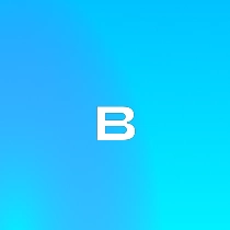 blackvas.tech