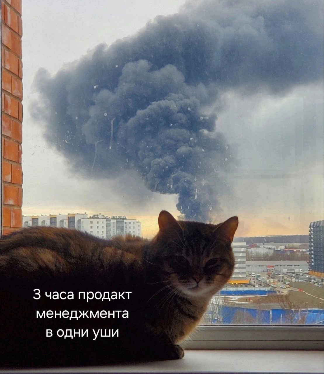 Через пару недель, в крупнейших ВУЗах страны.
Таня, [ex-B2B 👩‍💻] 
@productsgossip | Сетка — новая социальная сеть от hh.ru