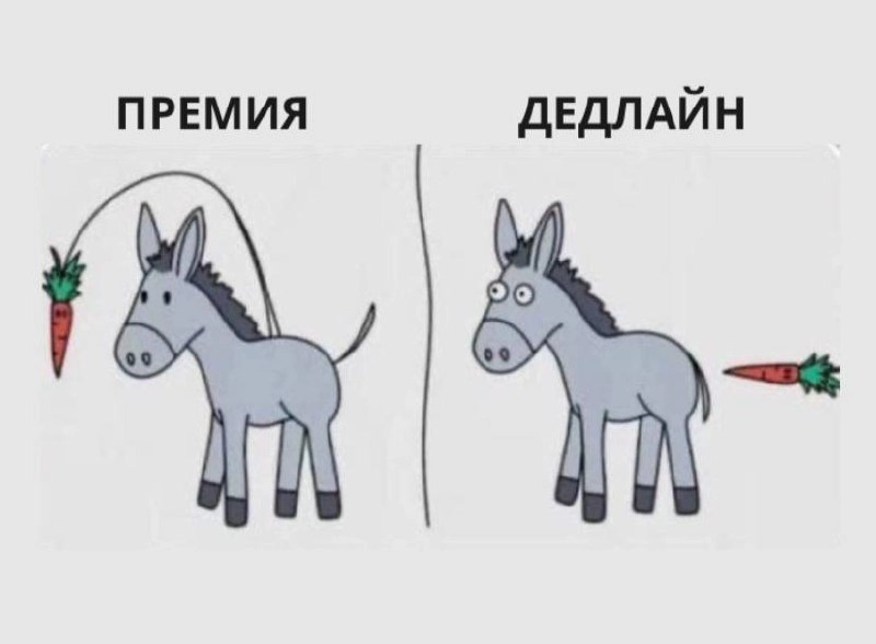 Что мотивирует бОльше, коллеги? 🤭
#мемоПятница #мем #трудоВыебудни | Сетка — новая социальная сеть от hh.ru