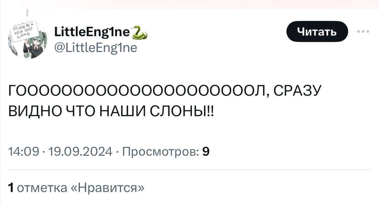 Чилийский Xbox в честь Дня независимости страны запостил геймпад в цветах флага… явно не Чили. В реплаях после этого началась перепись российско-испанских слонов и тонна мемов | Сетка — новая социальная сеть от hh.ru