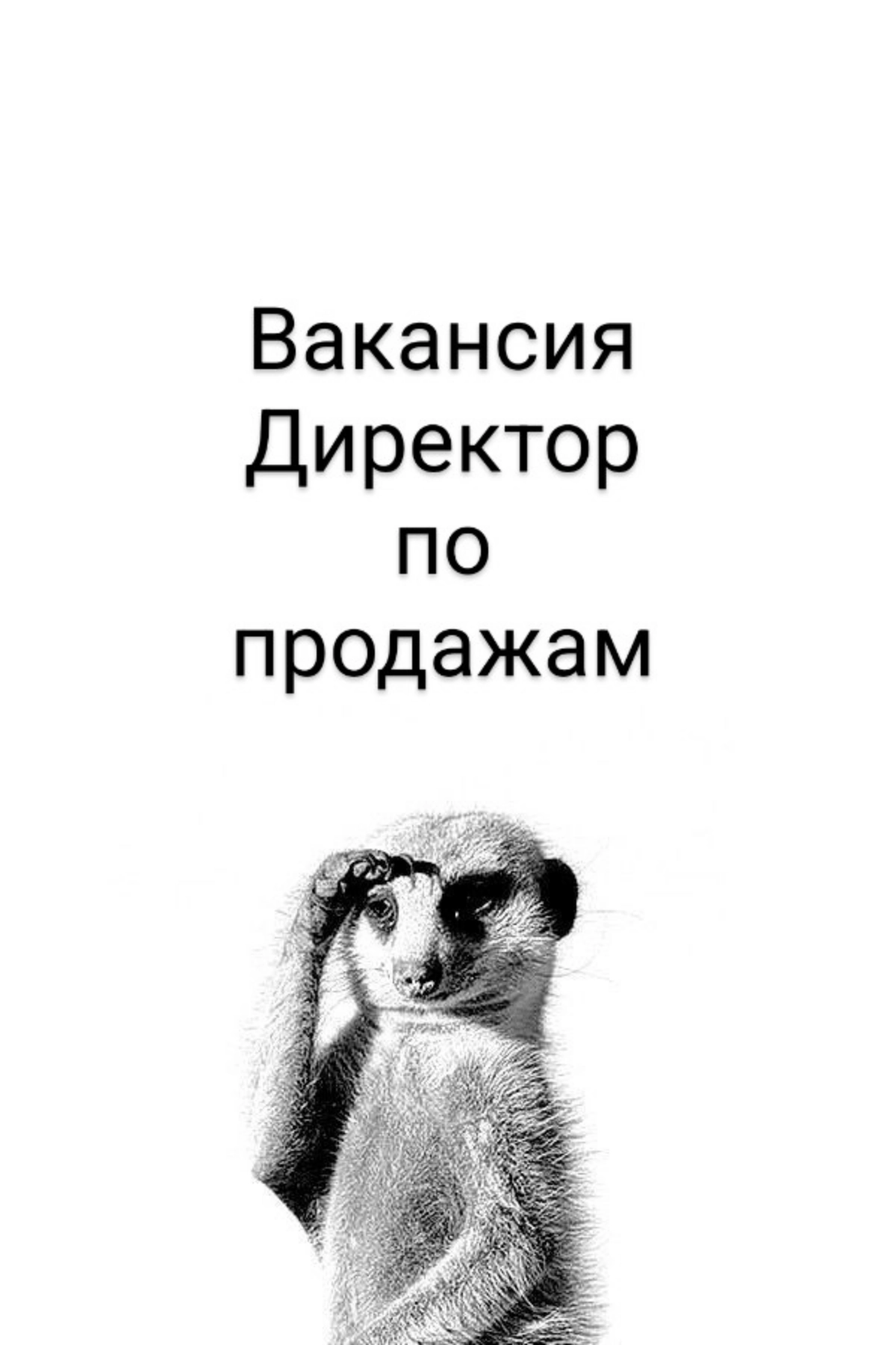 ВАКАНСИЯ: Директор по продажам
КОМПАНИЯ: в крупный производственный холдинг | Сетка — новая социальная сеть от hh.ru