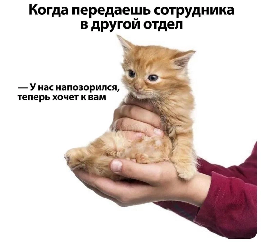 Сетка — новая социальная сеть от hh.ru
