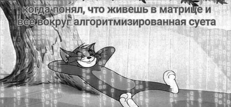 Сетка — новая социальная сеть от hh.ru