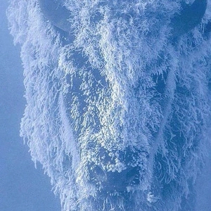 ББ CORP