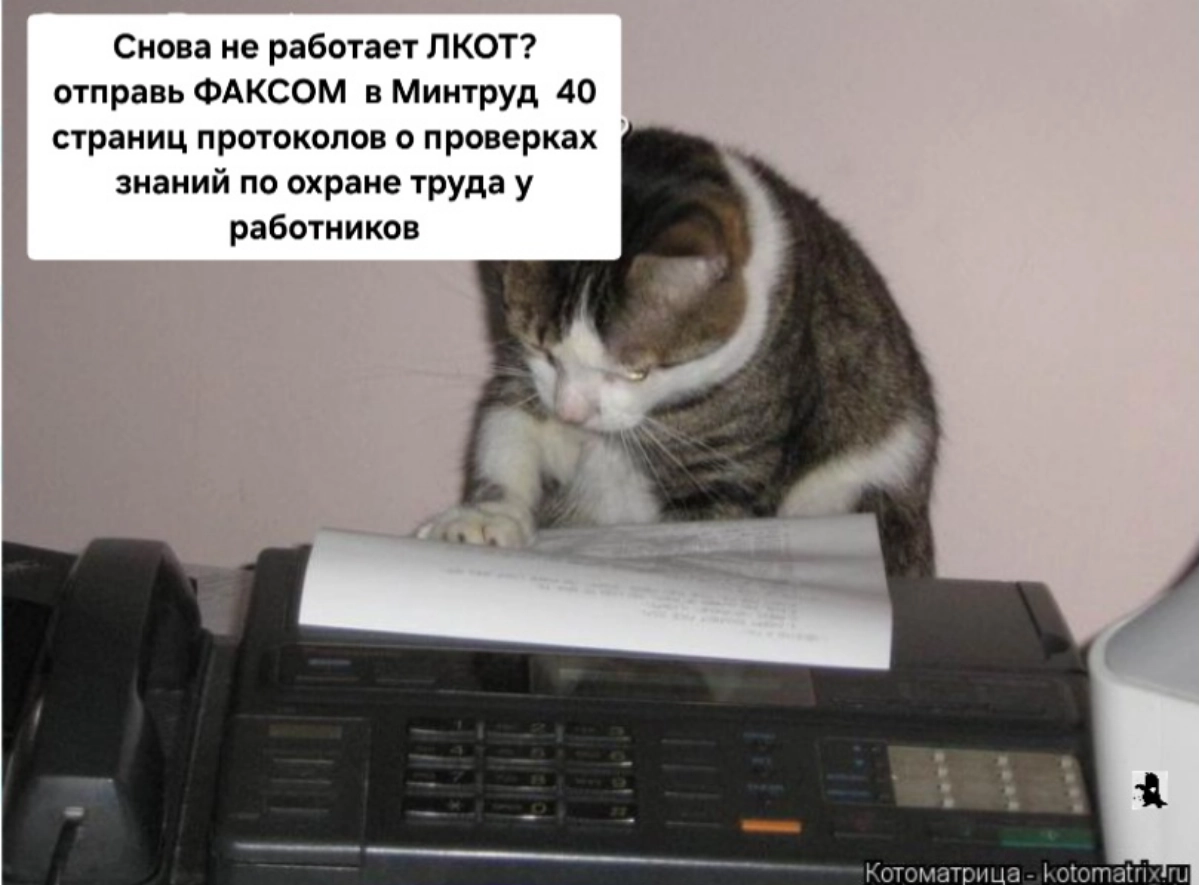 Сетка — социальная сеть от hh.ru