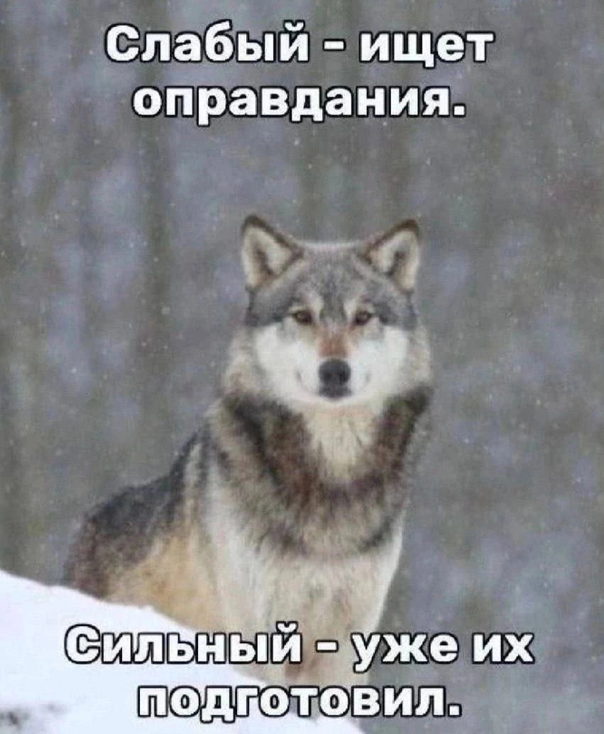 Настроение на мемчики ))
Все согласны, что мем продуктовый?) | Сетка — новая социальная сеть от hh.ru