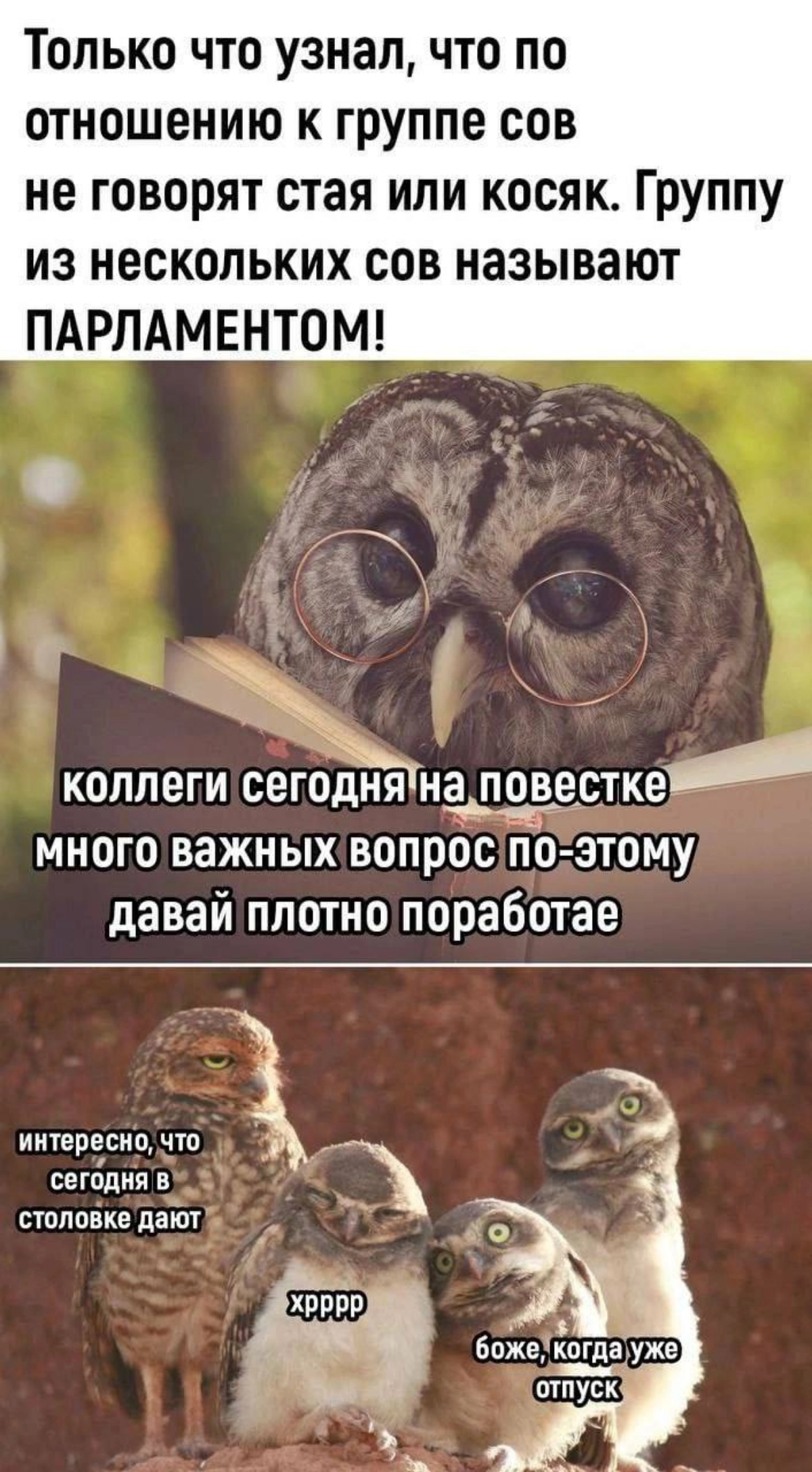 Сетка — новая социальная сеть от hh.ru