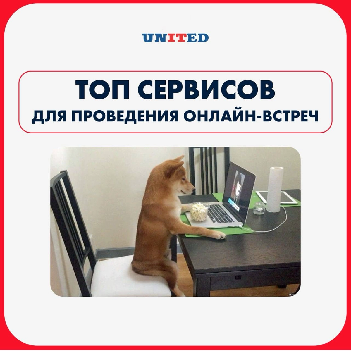 Топ-4 сервиса для проведения видеоконференций | Сетка — новая социальная сеть от hh.ru