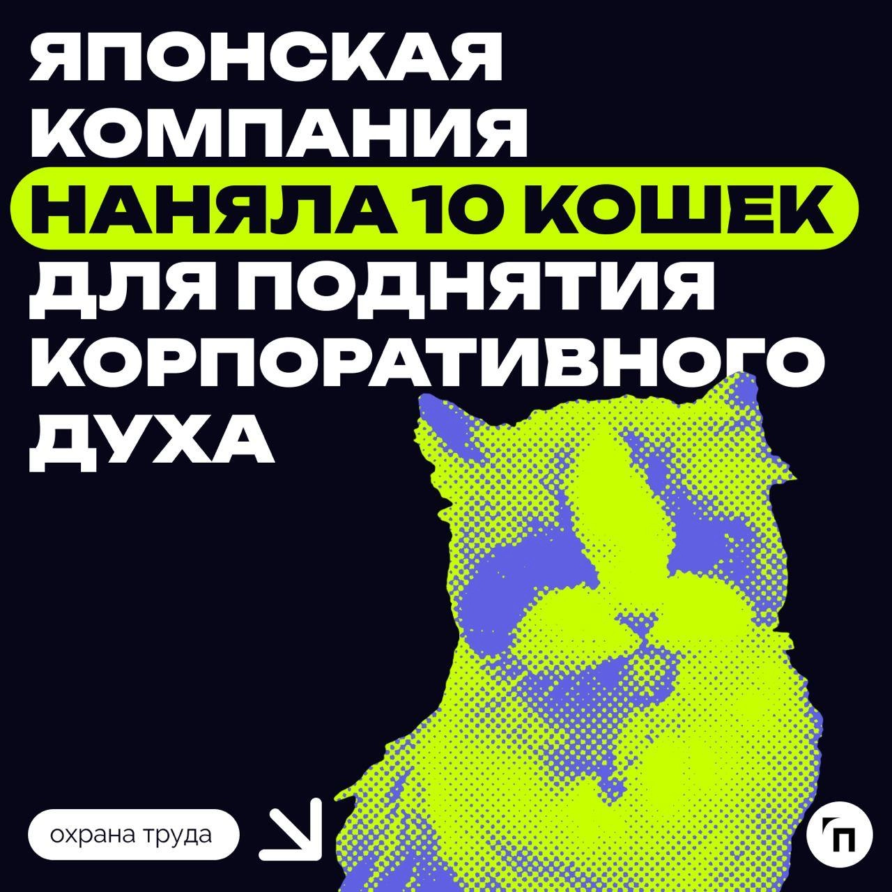 🫡 Японская компания наняла кошек для поднятия корпоративного духа
Японская компания Qnote решила подойти к вопросу мотивации сотрудников нестандартно и приняла на работу 10 кошек | Сетка — новая социальная сеть от hh.ru