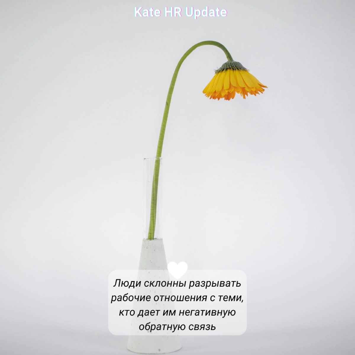 # Не только хорошее
Подумайте сейчас о людях на работе, которых можно назвать участниками вашей личной сети – тех, кто помогает вам добиваться лучших результатов в сложных проектах или эмоционально по... | Сетка — новая социальная сеть от hh.ru