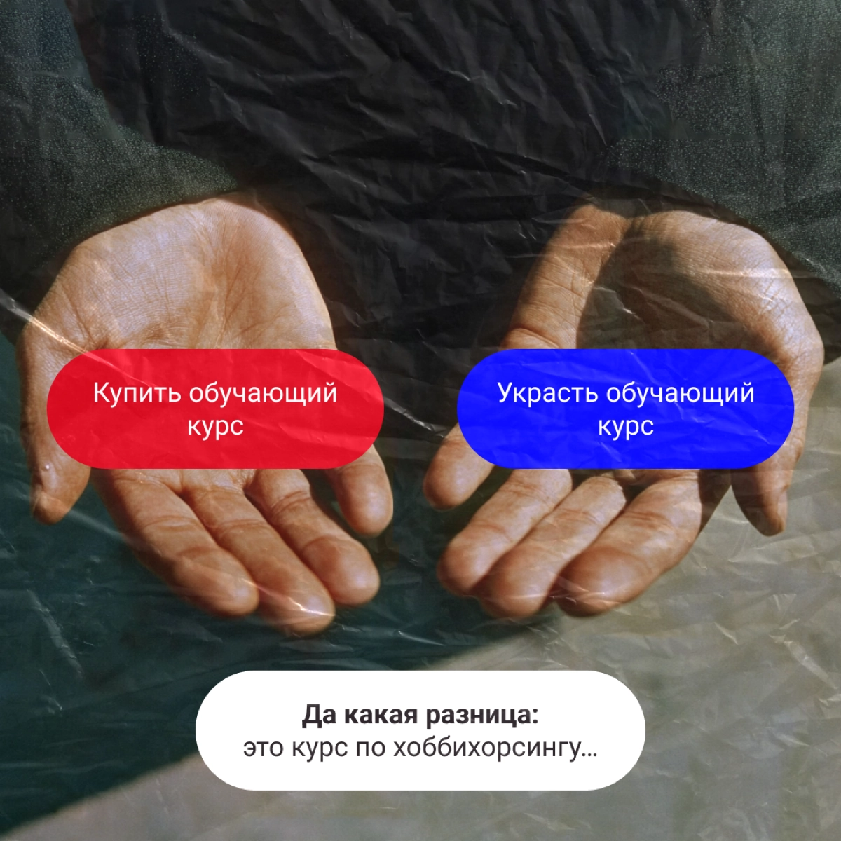 Выбирайте таблетку. Ничего не изменится, но хоть поржете 💊
Забегал Морфеус, оставил таблетки. Не, не красные и синие, а с выбором без выбора. Ищите свои, а мы пока ложки погнем. | Сетка — новая социальная сеть от hh.ru