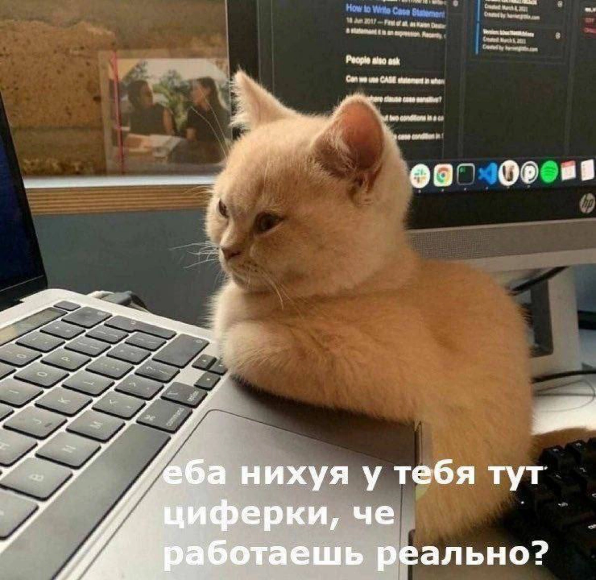 рекомендую начинающего #project manager в IT/digital, но с качественным опытом менеджера в другой сфере, ещё и с английским C1….
писать в лс | Сетка — новая социальная сеть от hh.ru
