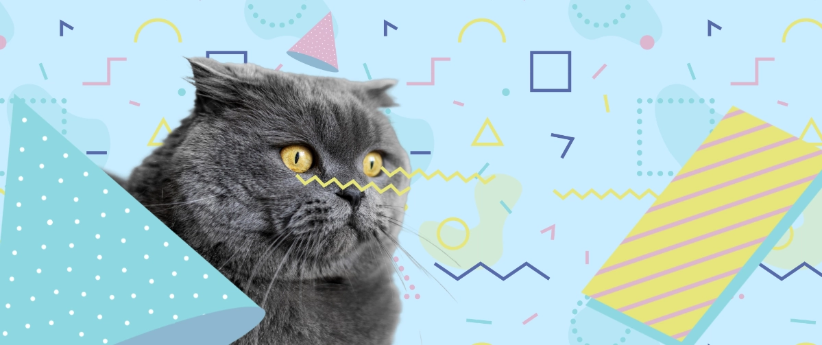 Sequence Diagram: что это и как с ней работать? 😺 | Сетка — новая социальная сеть от hh.ru