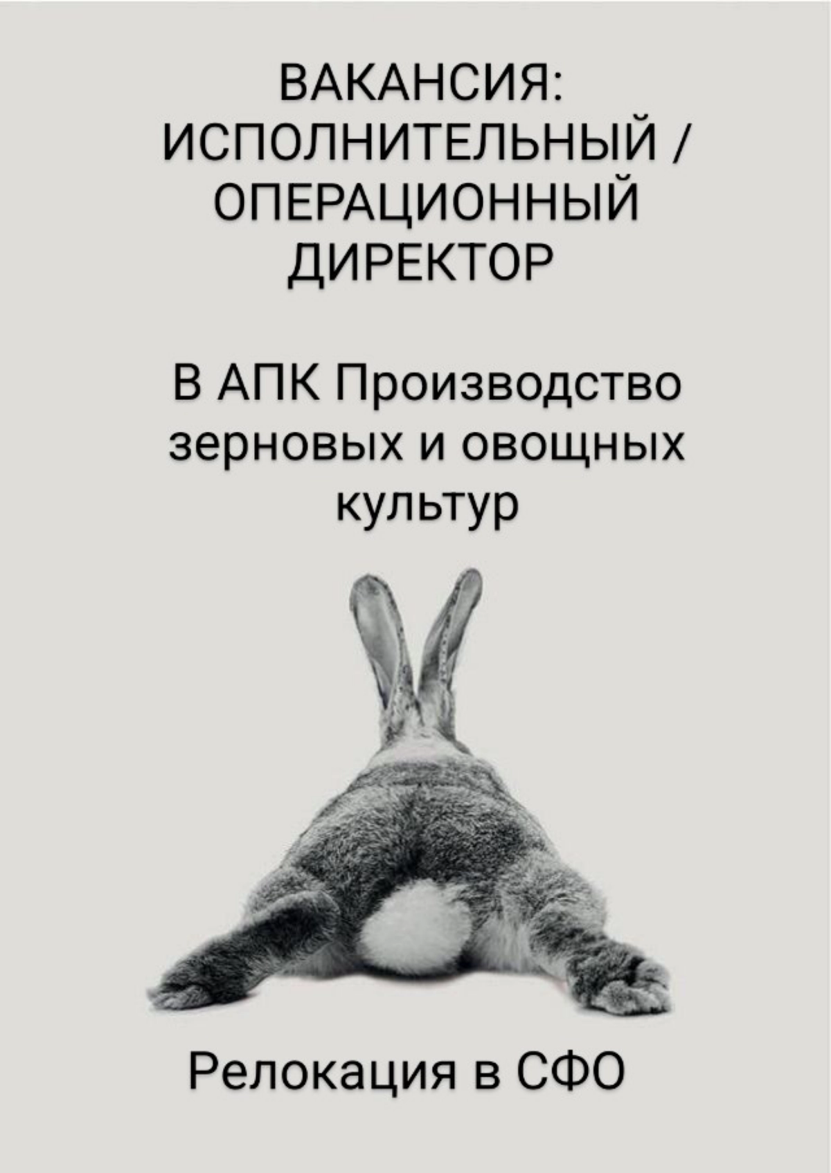 #ВАКАНСИЯ: ИСПОЛНИТЕЛЬНЫЙ / ОПЕРАЦИОННЫЙ ДИРЕКТОРА
КОМПАНИЯ: АПК Производство зерновых и овощных культур  
ЗАДАЧИ:
-  Операционное руководство АПК
-  Организация производственного процесса
-  Осуществ... | Сетка — новая социальная сеть от hh.ru
