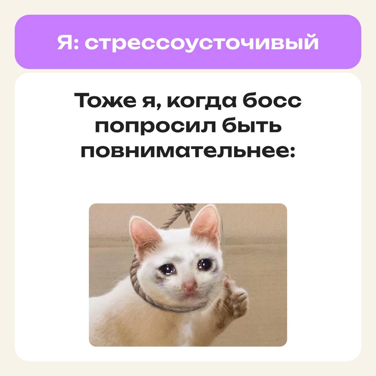 Это не мем, это моя жизнь | Сетка — новая социальная сеть от hh.ru