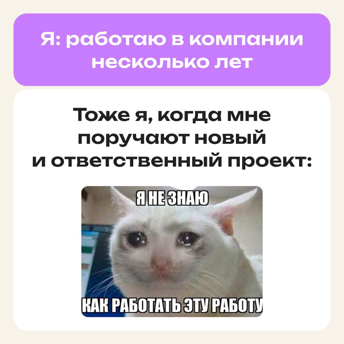Это не мем, это моя жизнь | Сетка — новая социальная сеть от hh.ru