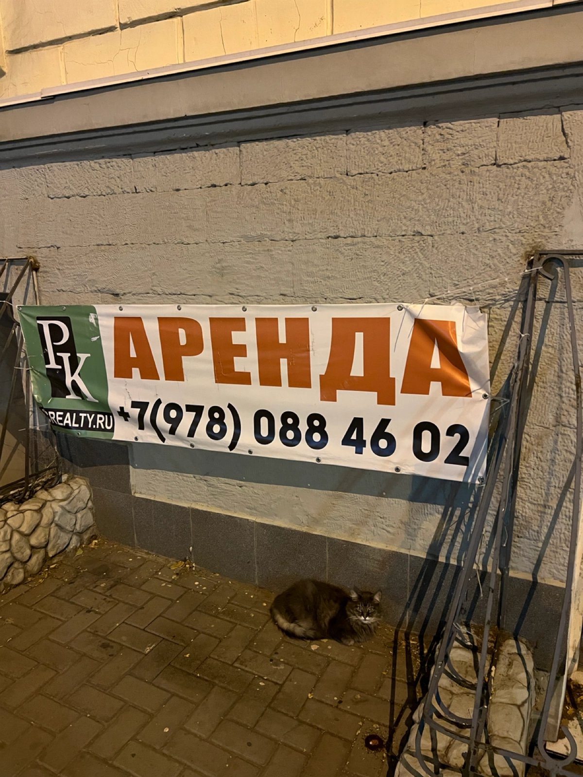 Фриланс-вечерочек или просто пост про день видеомонтажера:

один сложный проект психологически вымотал и я ускакала на плановую стрижку (уже пора);
табличку сфоткала прям возле салона;
кота тоже;
сфот... | Сетка — новая социальная сеть от hh.ru