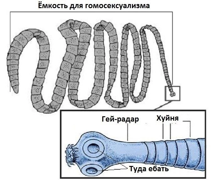 Сетка — новая социальная сеть от hh.ru