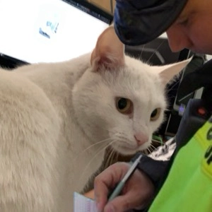 Subscriber avatar