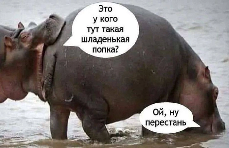 Сетка — социальная сеть от hh.ru