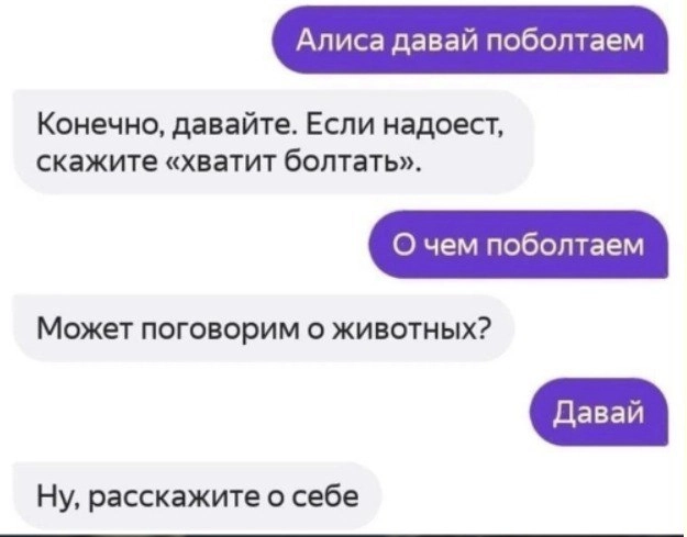 😝GenAI - наше всё! троллить нас уже научились😂 | Сетка — новая социальная сеть от hh.ru