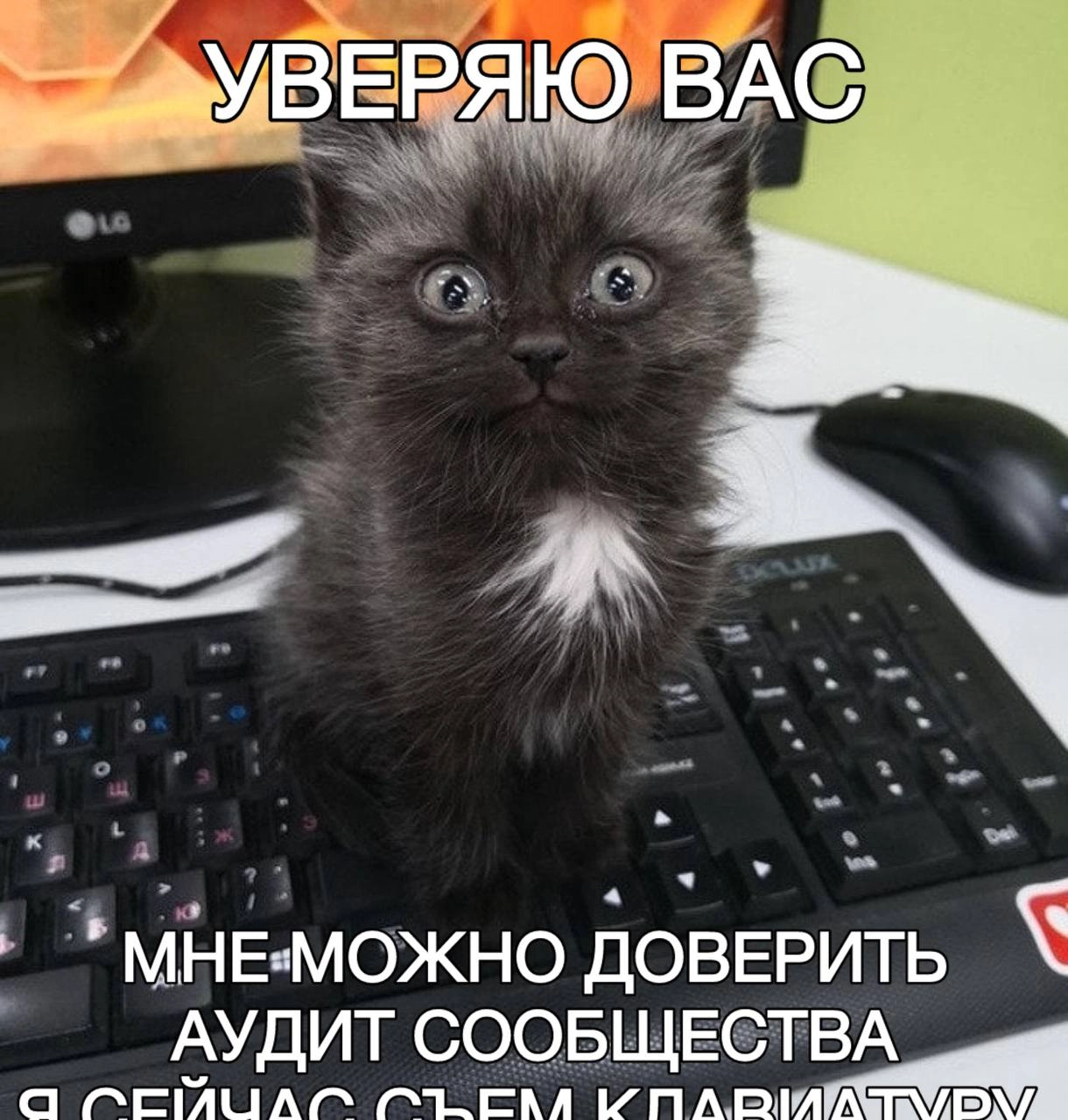 Шаблон для аудита сообщества
Нашел и адаптировал для вас шаблон для базового аудита сообщества. Он поможет вам на минимальном уровне определить, в каком состоянии находится ваше сообщество | Сетка — новая социальная сеть от hh.ru