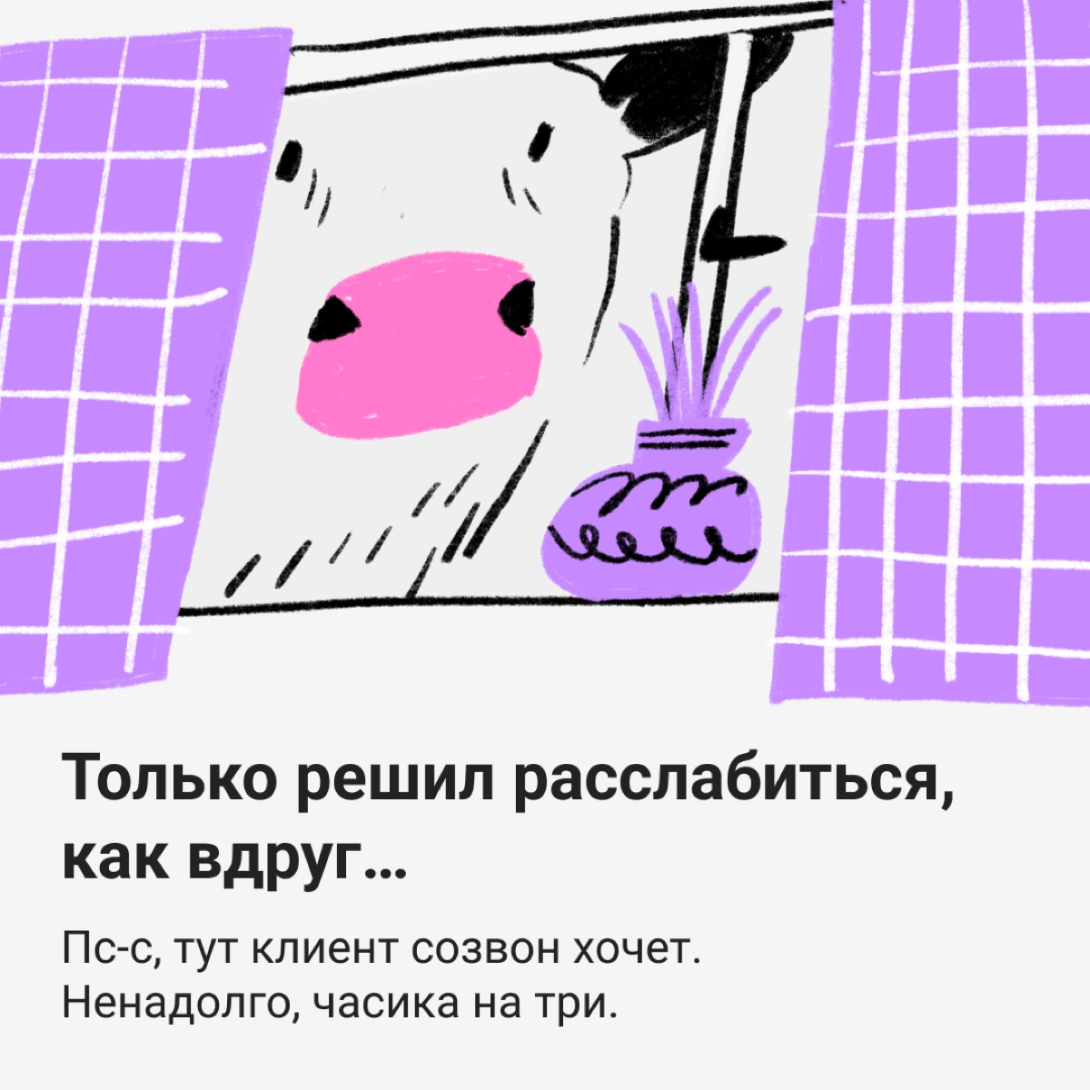 🐮 Коровы не те, чем кажутся | Сетка — новая социальная сеть от hh.ru