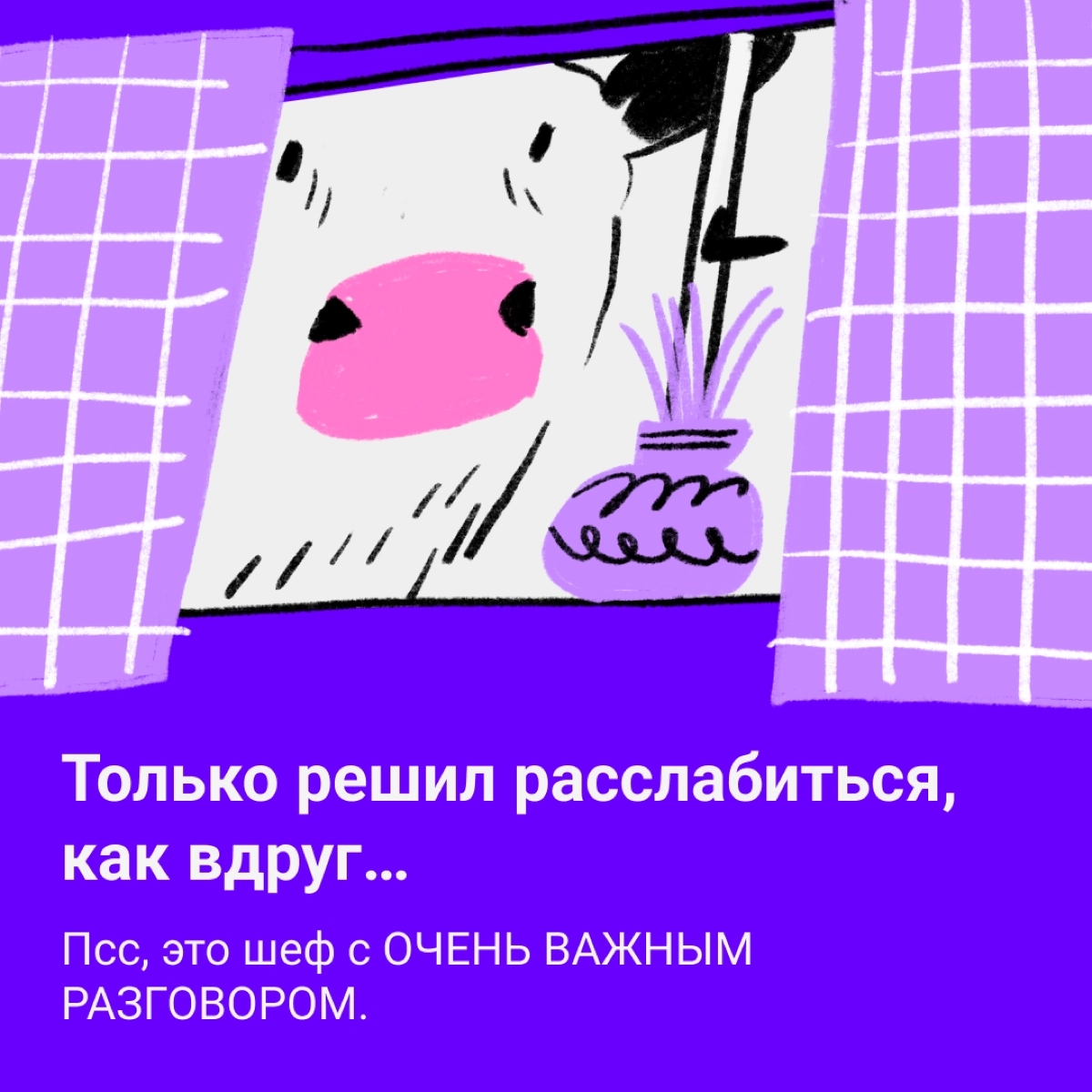 🐮 Коровы не те, чем кажутся | Сетка — новая социальная сеть от hh.ru