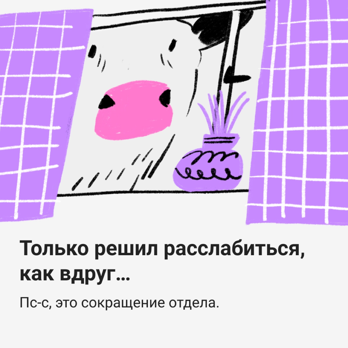 🐮 Коровы не те, чем кажутся | Сетка — новая социальная сеть от hh.ru