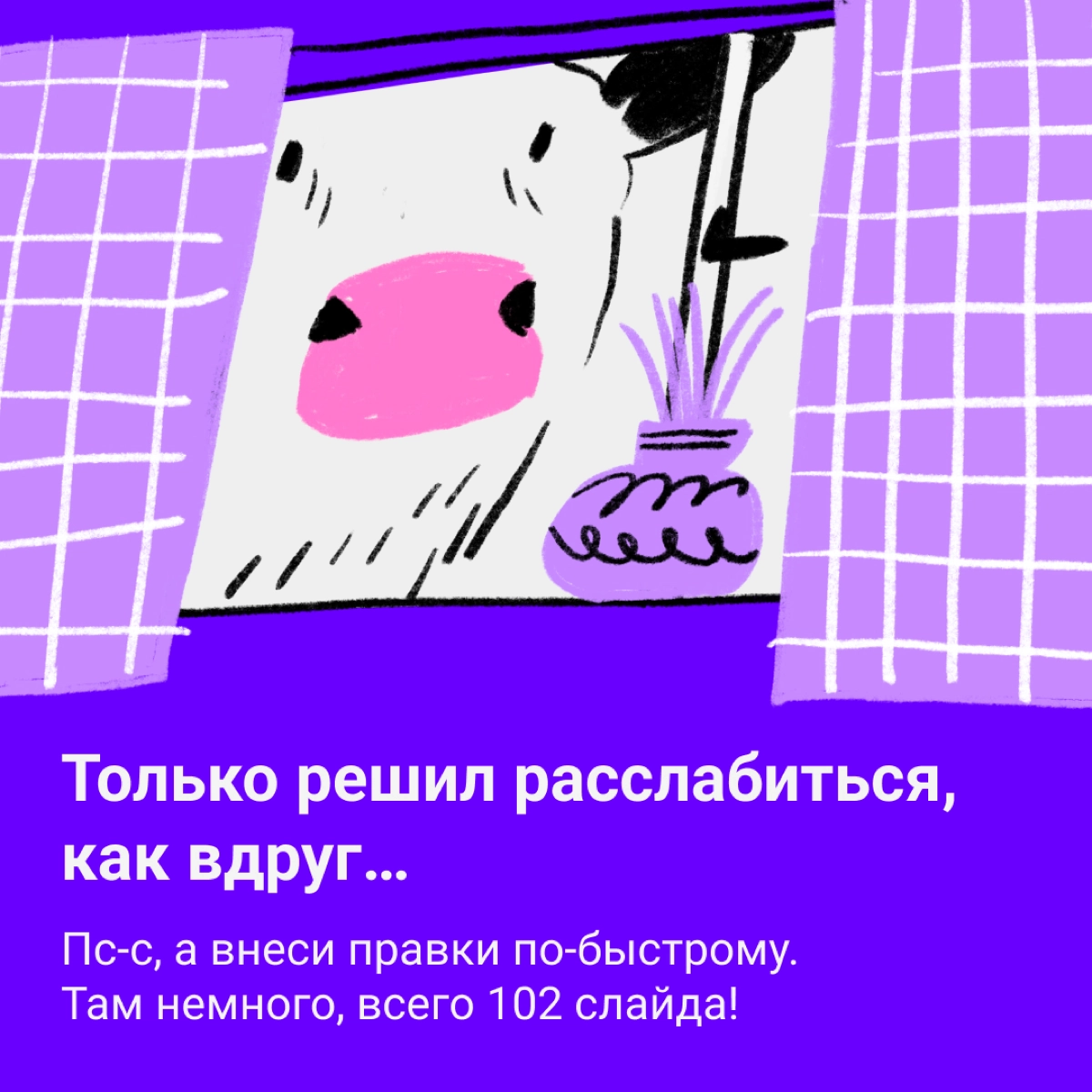 🐮 Коровы не те, чем кажутся | Сетка — новая социальная сеть от hh.ru
