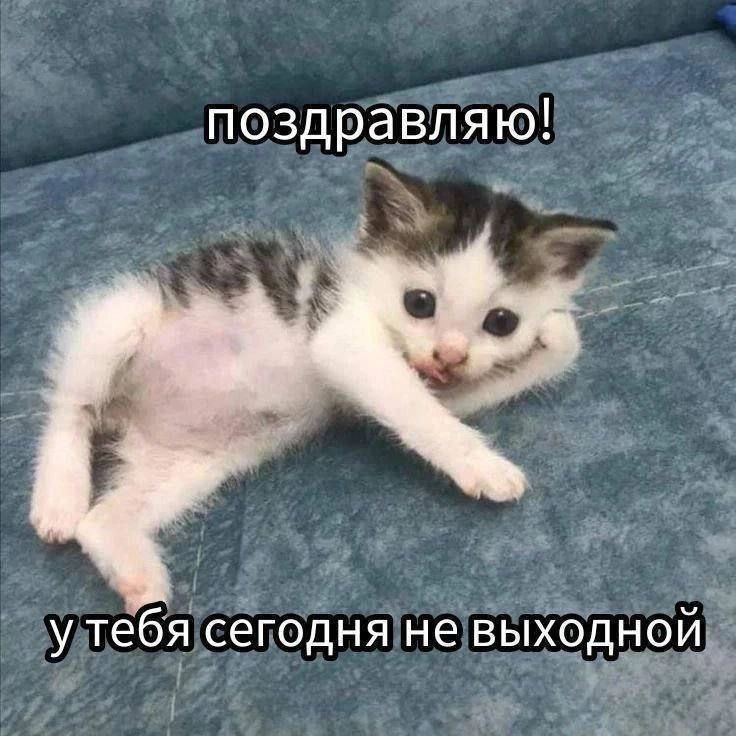 Сетка — новая социальная сеть от hh.ru